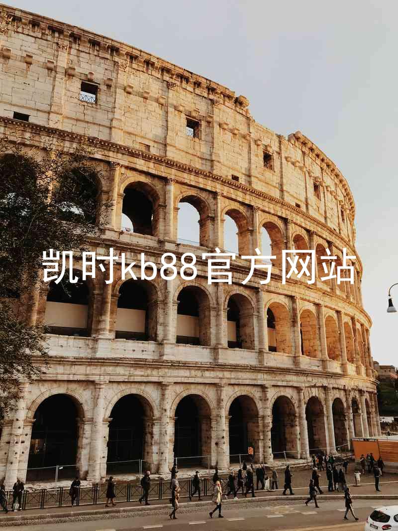 凯时kb88官方网站