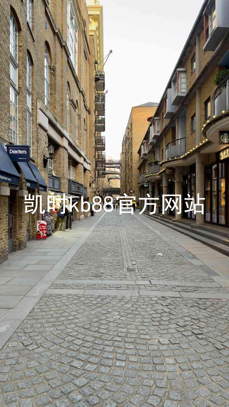 凯时kb88官方网站