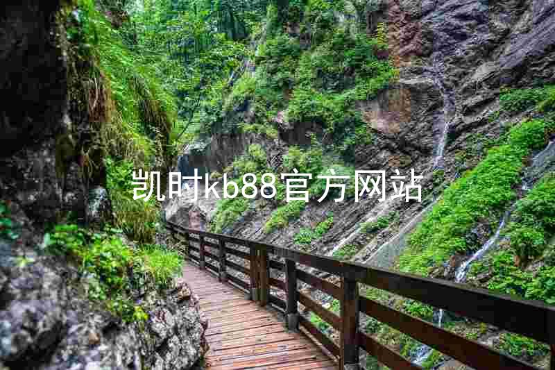 凯时kb88官方网站