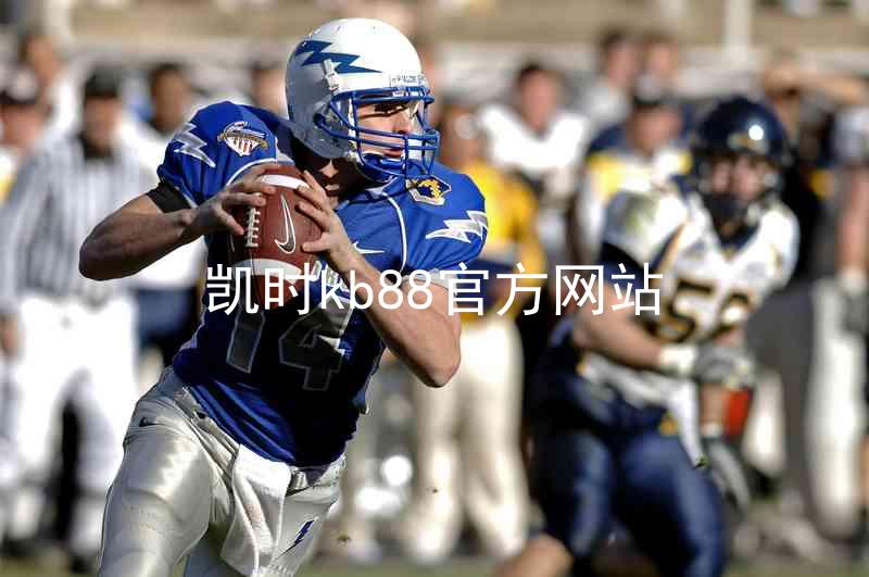 凯时kb88官方网站